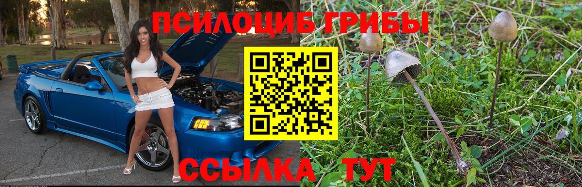 Галлюциногенные грибы GOLDEN TEACHER  Вход с VPN  Лянтор 