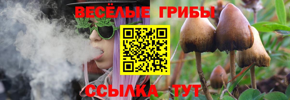 Псилоцибиновые грибы GOLDEN TEACHER Лянтор